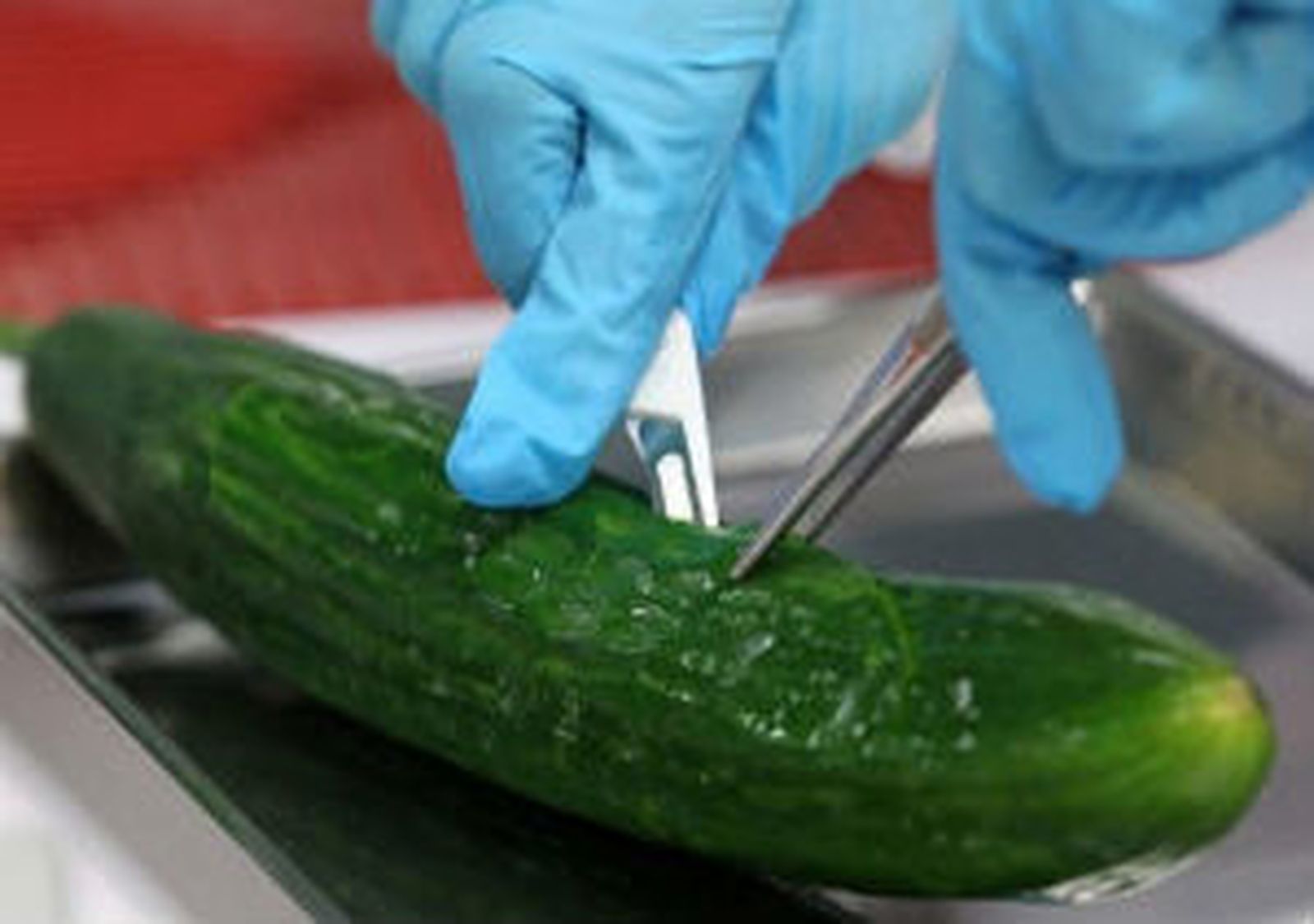 Un español que viajó a Alemania, ingresado con síntomas de la bacteria del pepino
