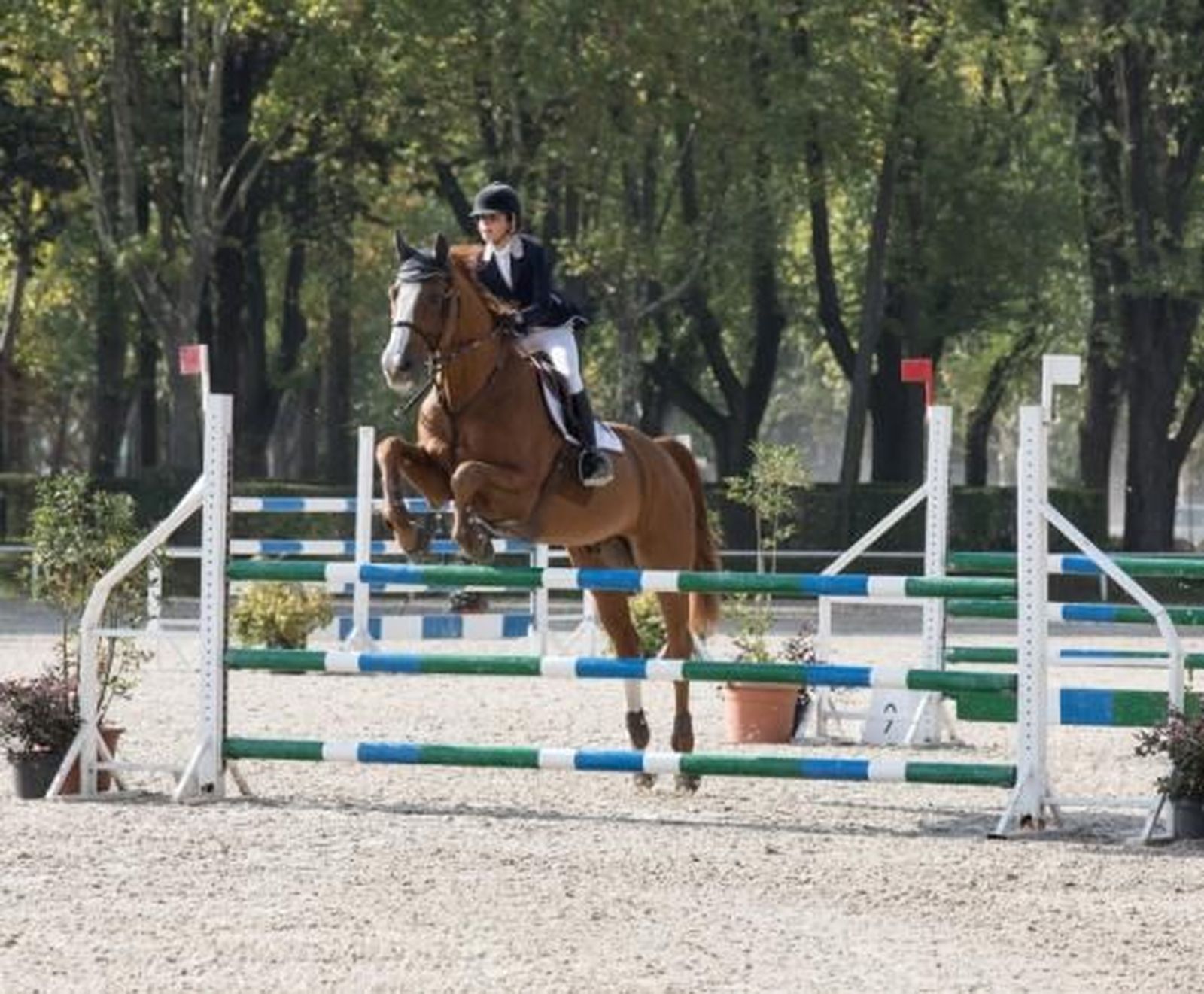 Decenas de jinetes muestran su talento en el Club de Campo Villa de Madrid