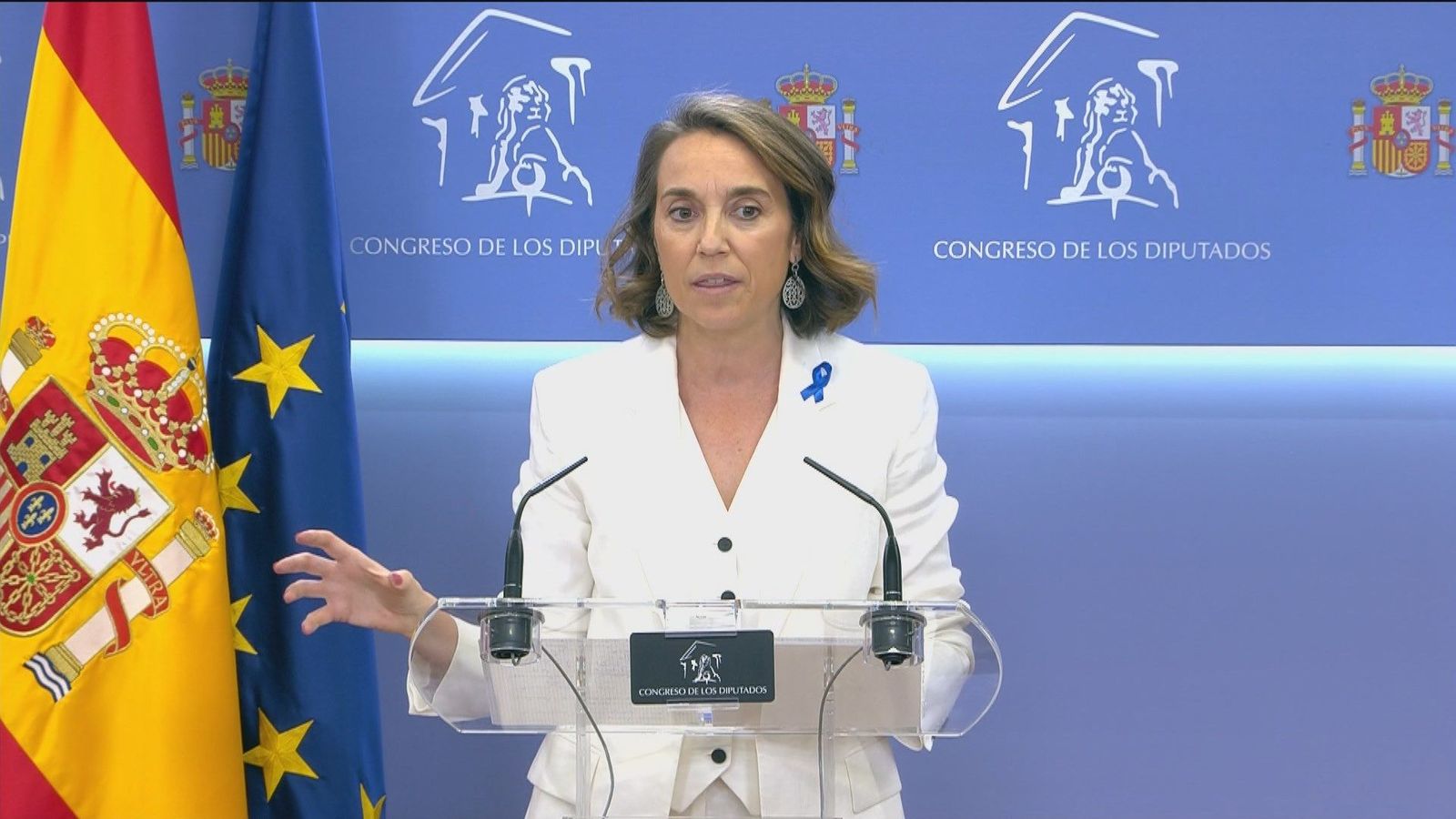 "Lo que han podido ver los españoles es que el problema es el propio señor Sánchez", asegura Gamarra