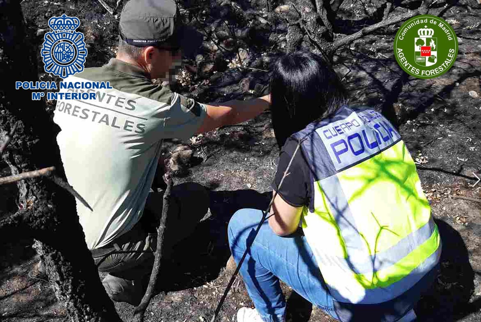 Un agente forestal y otro de Policía Nacional en un área de Pinilla del Valle afectada por un incendio