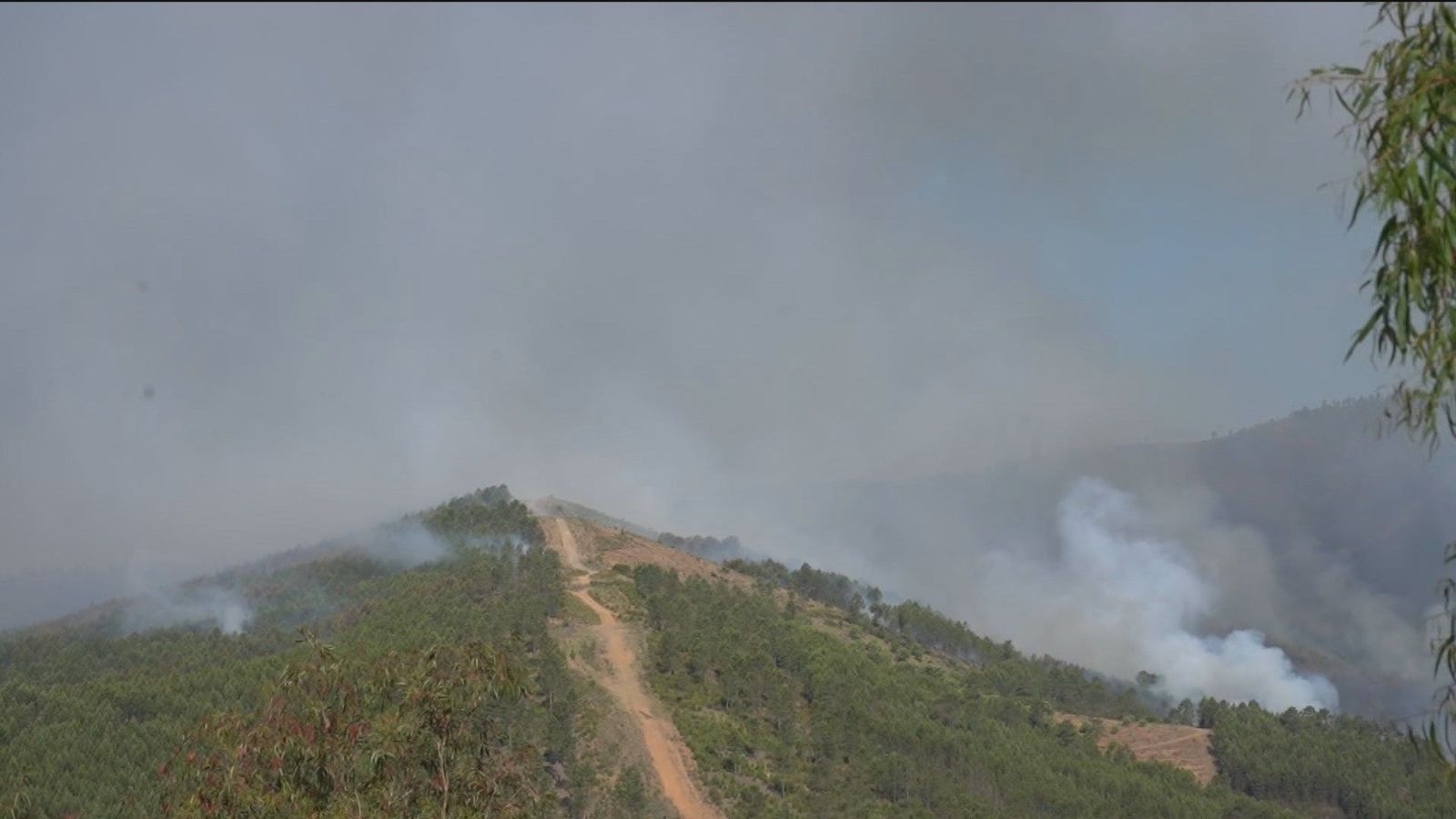 Medios aéreos y terrestres continúan trabajando en el incendio de Pinofranqueado
