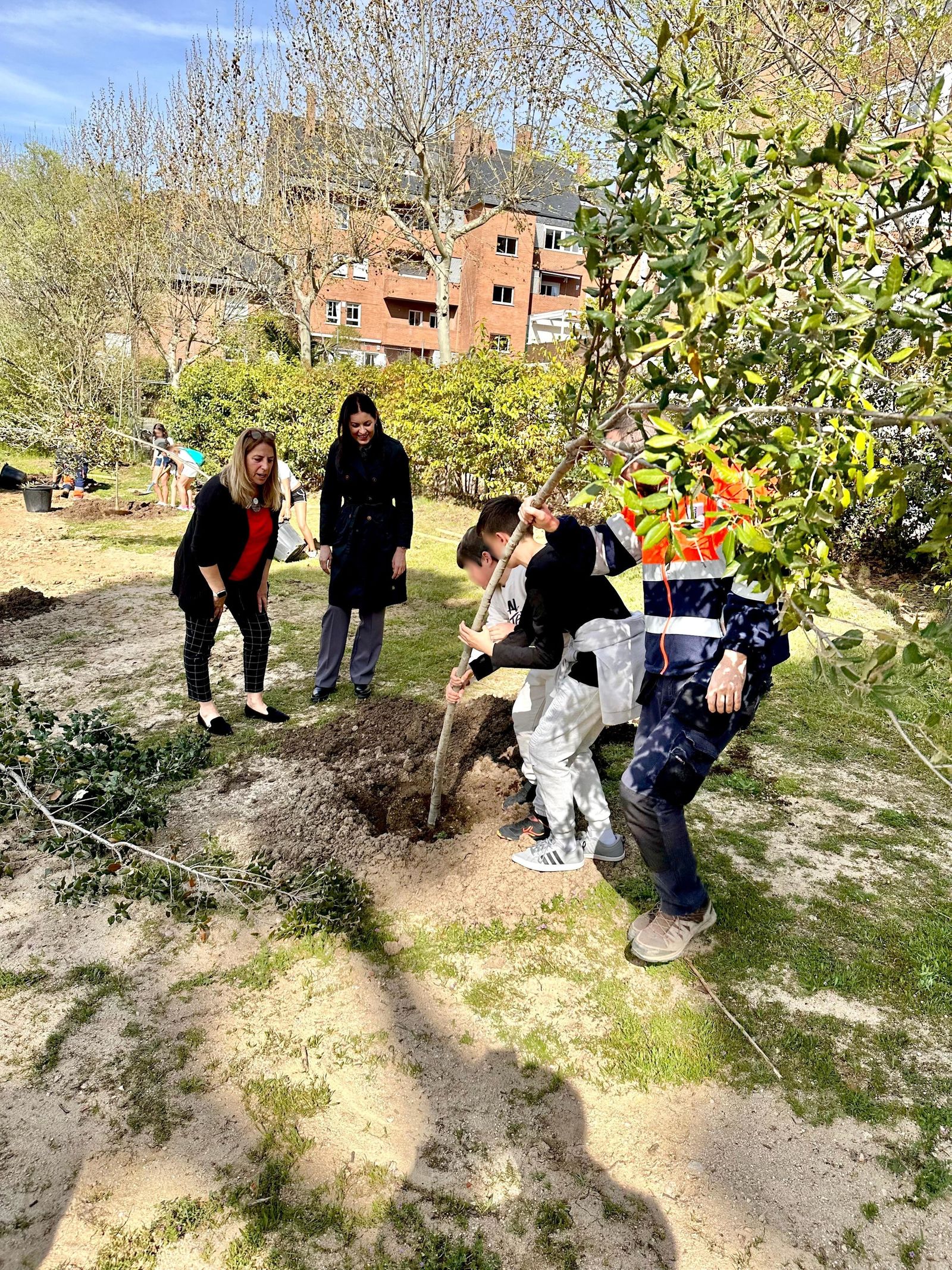 Escolares de Majadahonda participan en una plantación