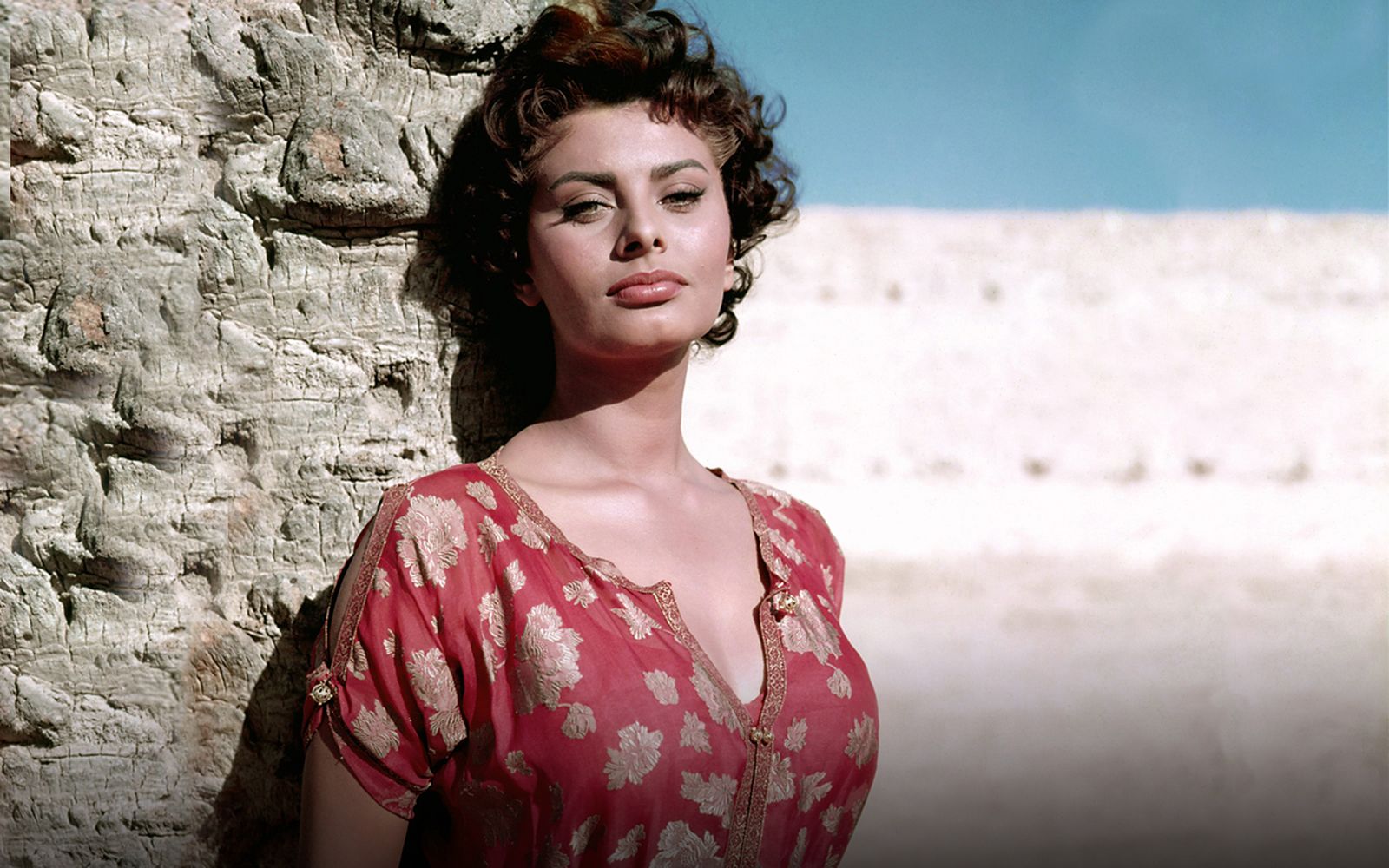 Sophia Loren