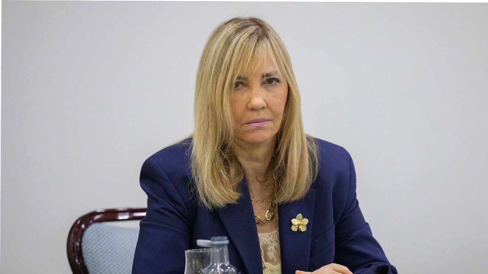 Perelló apoya a los jueces afectados frente a las "presiones que no son propias de un Estado de Derecho"