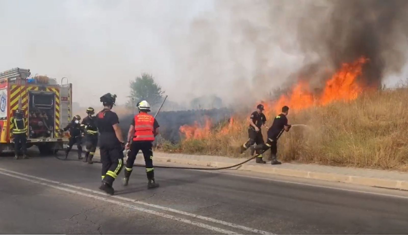 Incendio de pastos