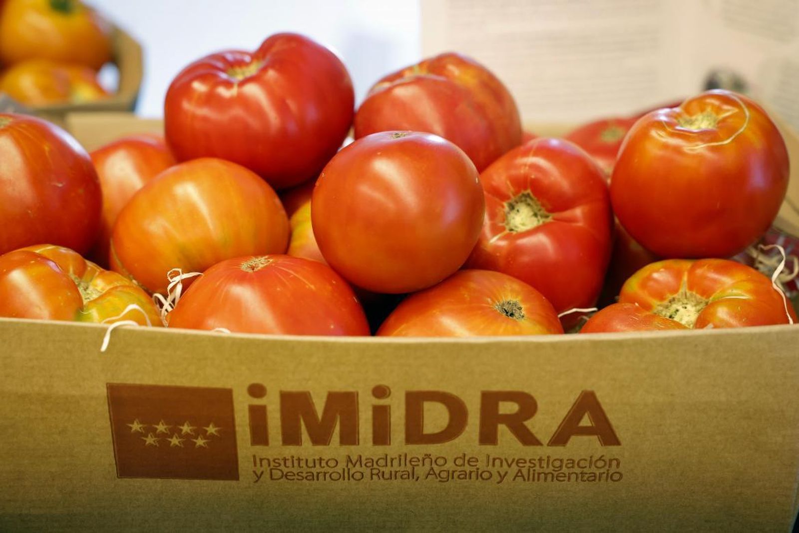 Tomate tradicional madrileño