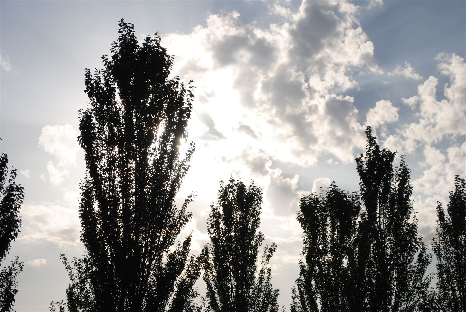 Cielo Madrid