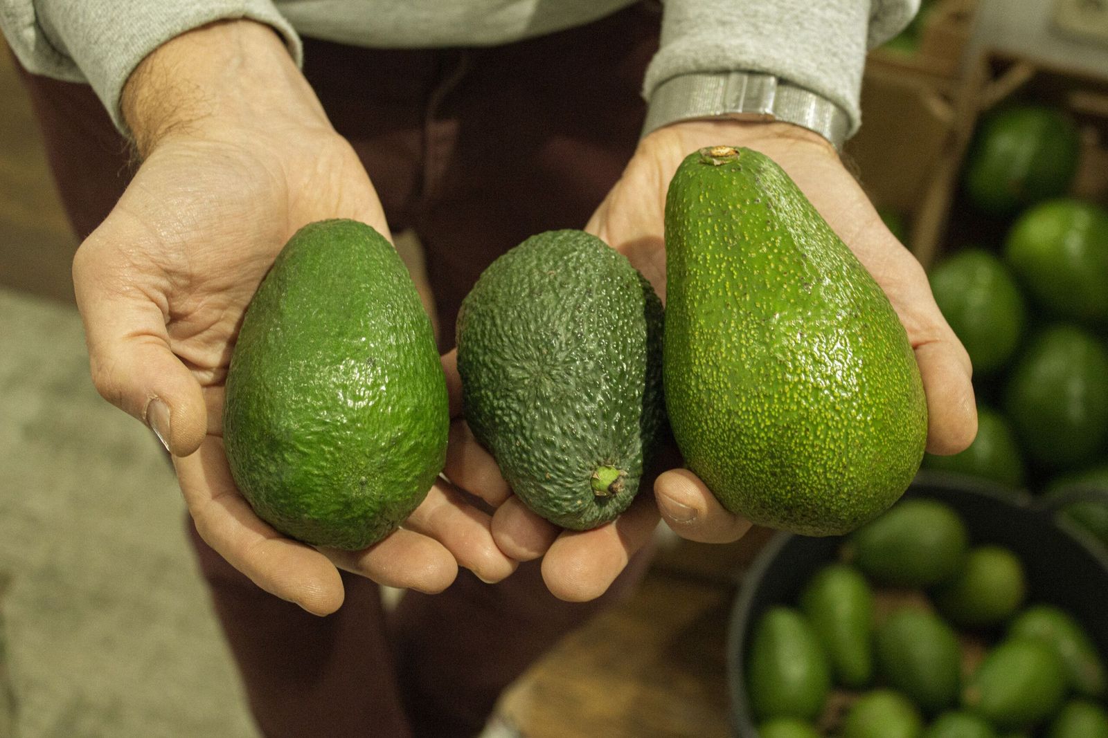 El paraíso del aguacate de La Palma abre en Chueca