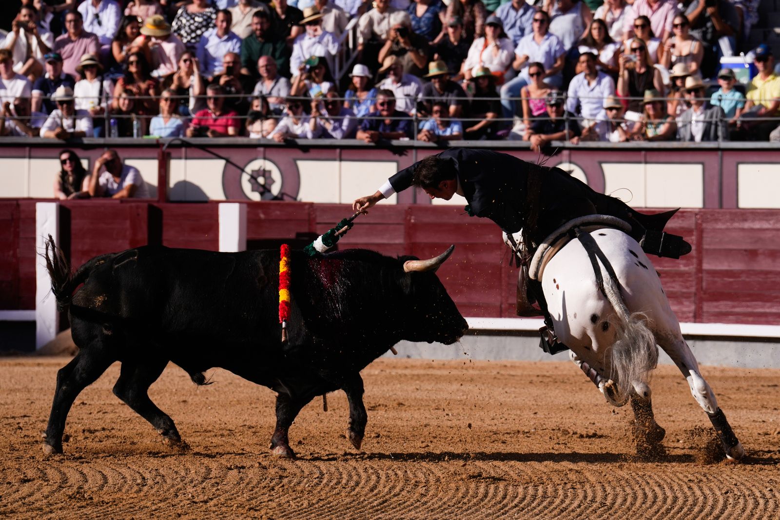 Andy Cartagena con el primer toro