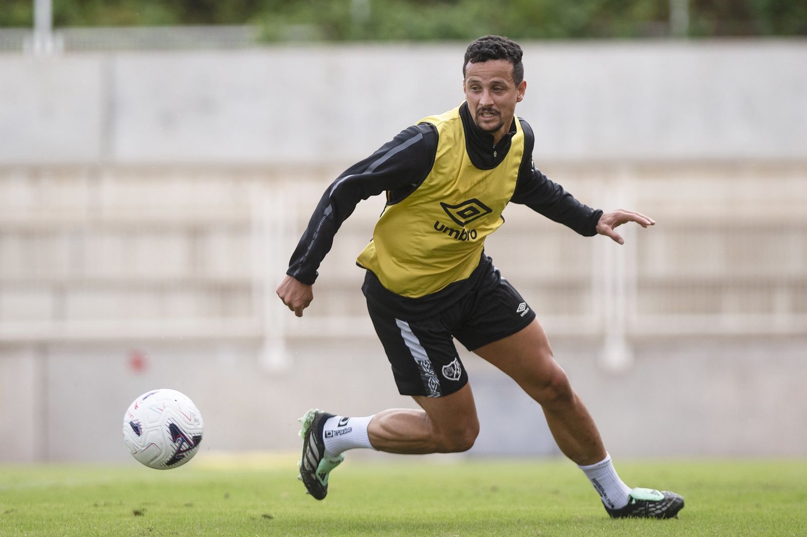 Luiz Felipe