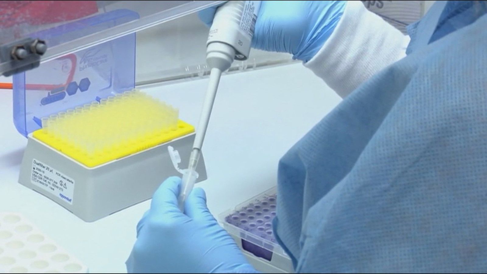 Los niños se contagian de coronavirus igual que los adultos, pero sólo un 1% presenta síntomas