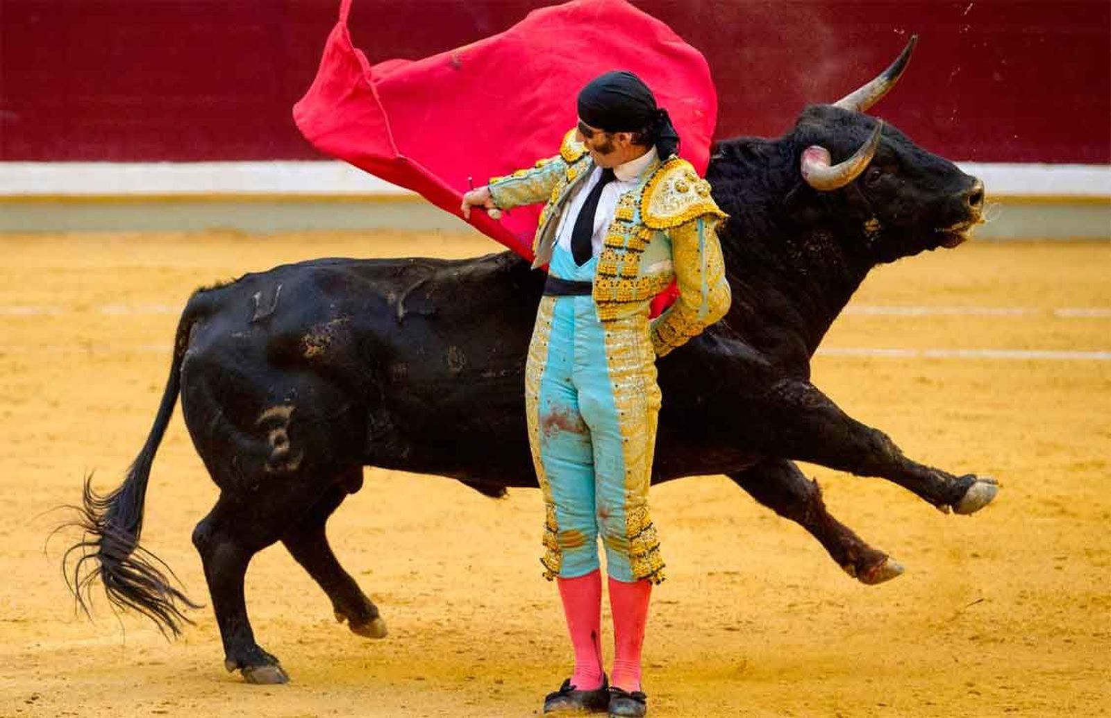 Pablo Iglesias propone un referéndum sobre los toros