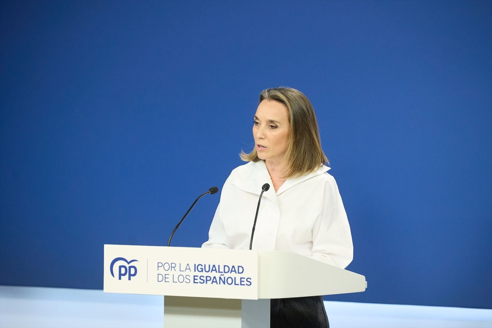 PP se persona en el caso Koldo