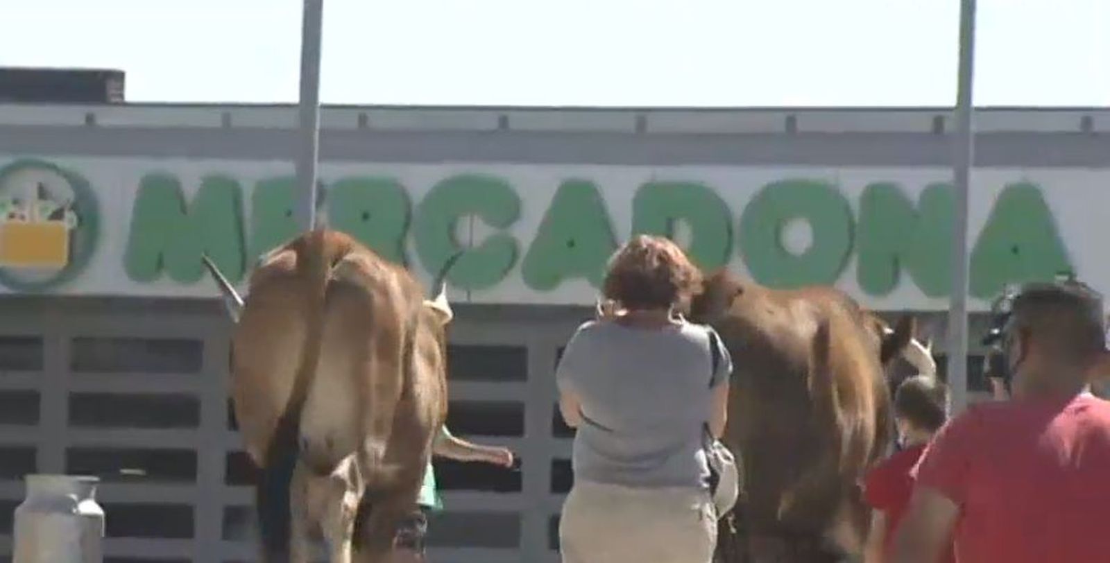 Ganaderos de Madrid llevan su protesta frente al Mercadona de Colmenar Viejo