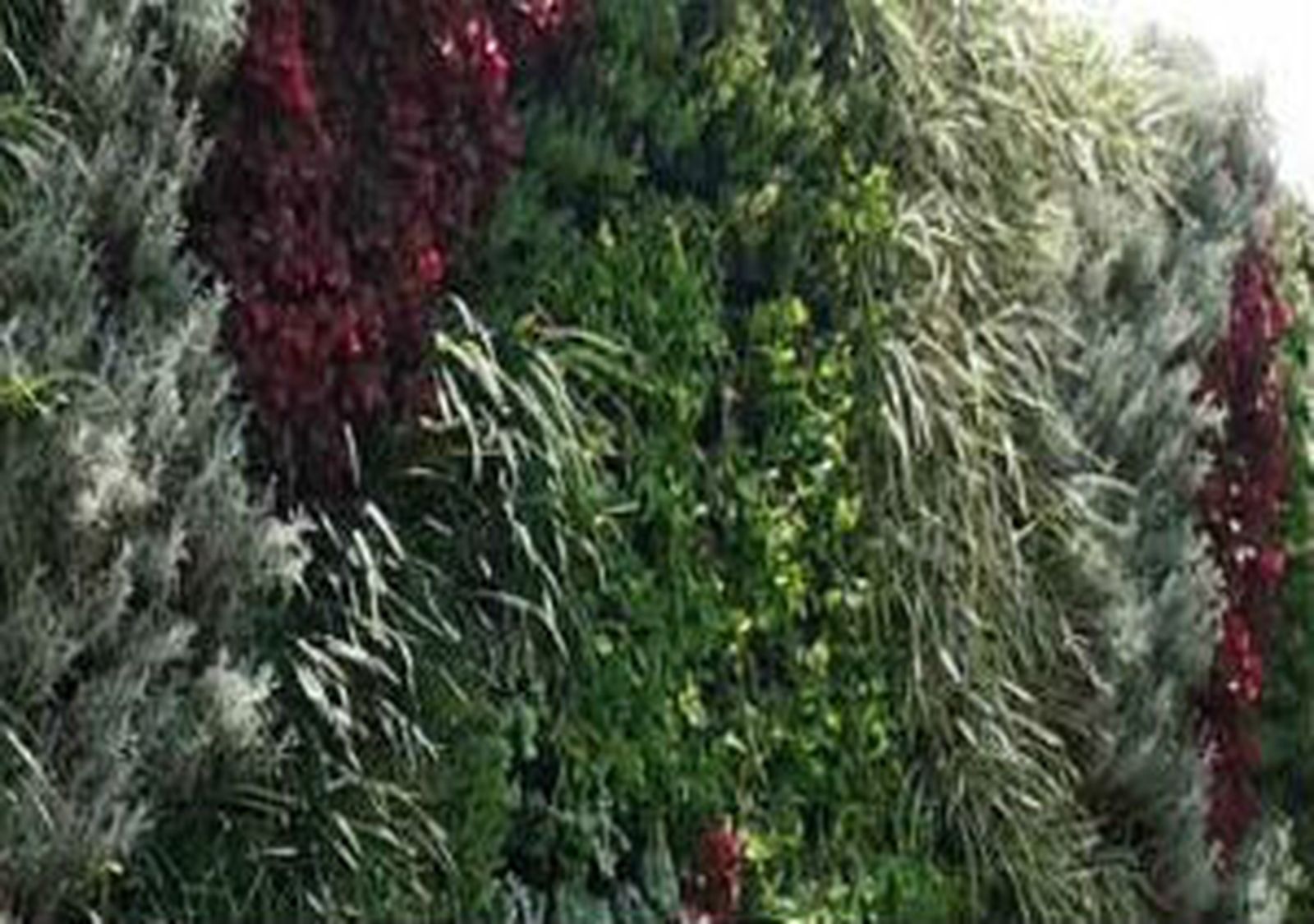 Jardín Vertical