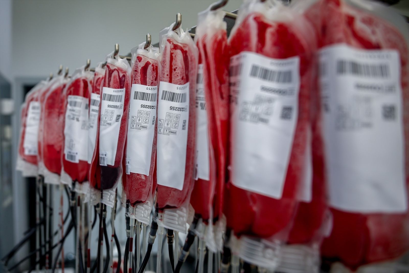 Bolsas de sangre