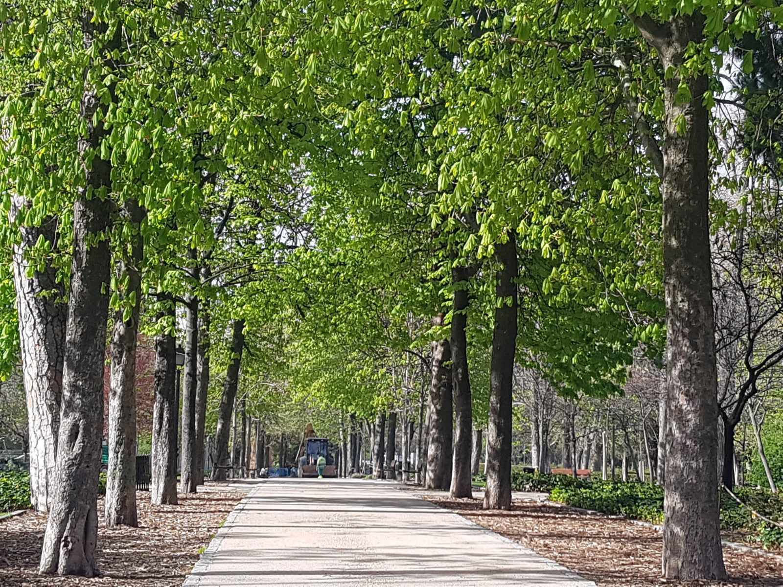 El Retiro