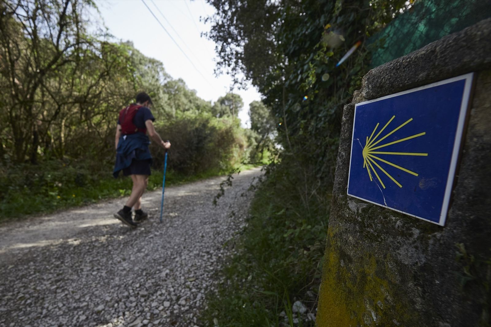 Camino de Santiago a su paso por Navarra