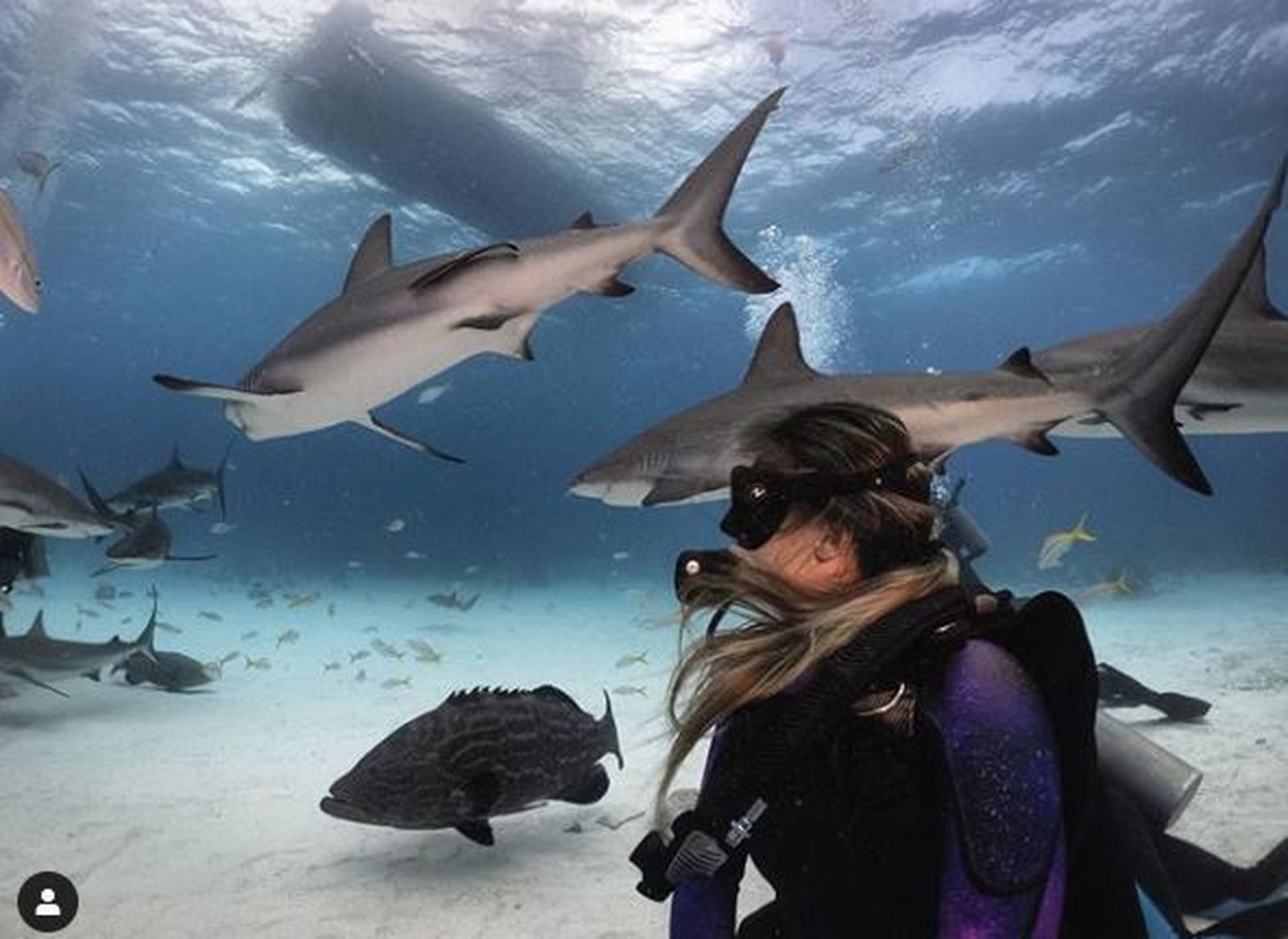 Una oceanógrafa española bucea sin jaula junto a tiburones para derribar mitos