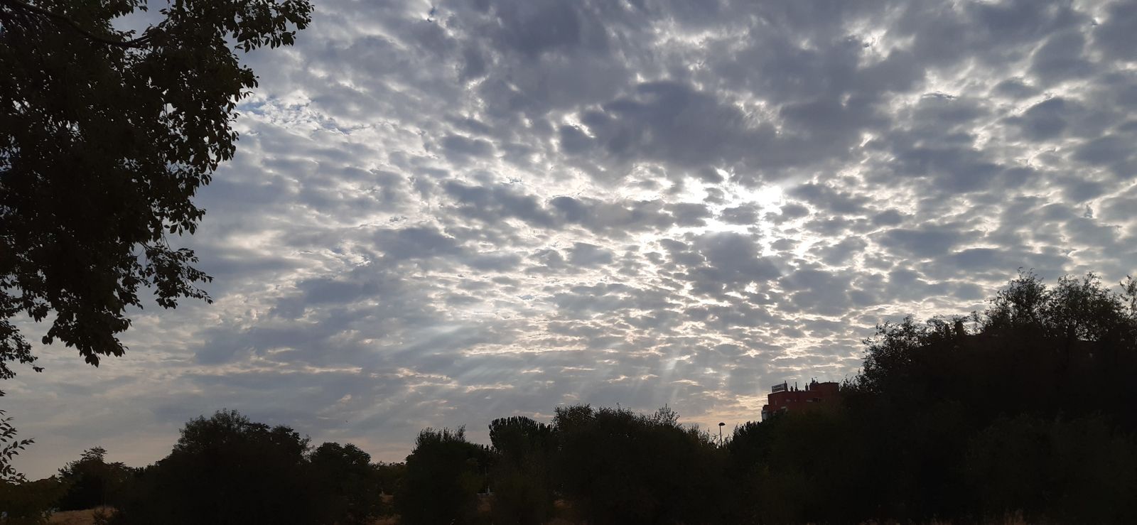 Cielo nuboso