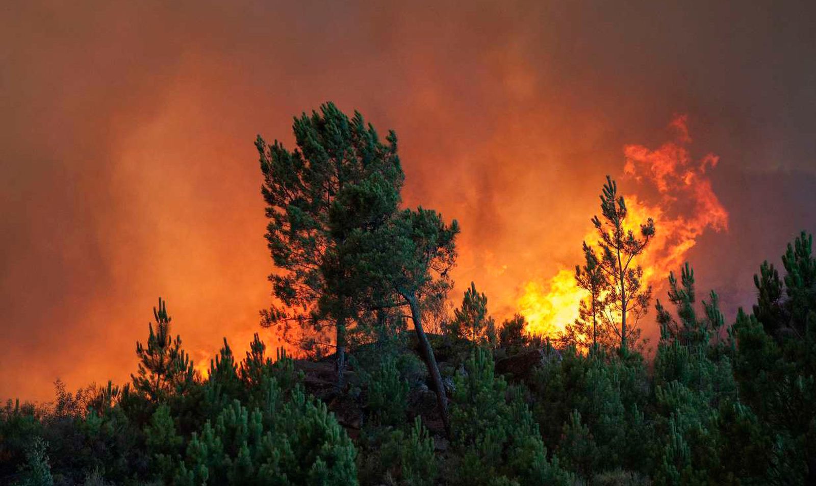 Incendio en Orense