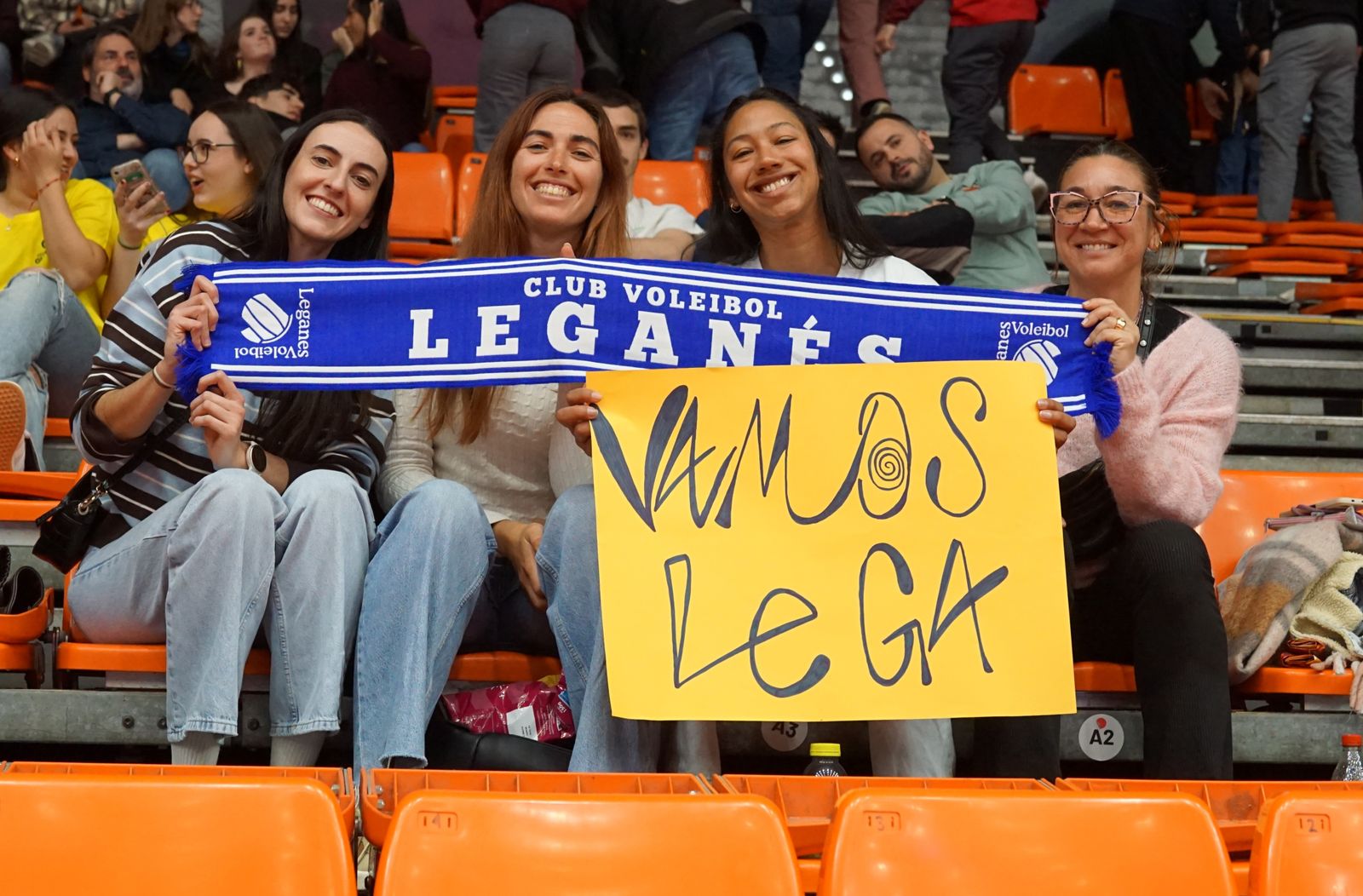 Voleibol Leganés