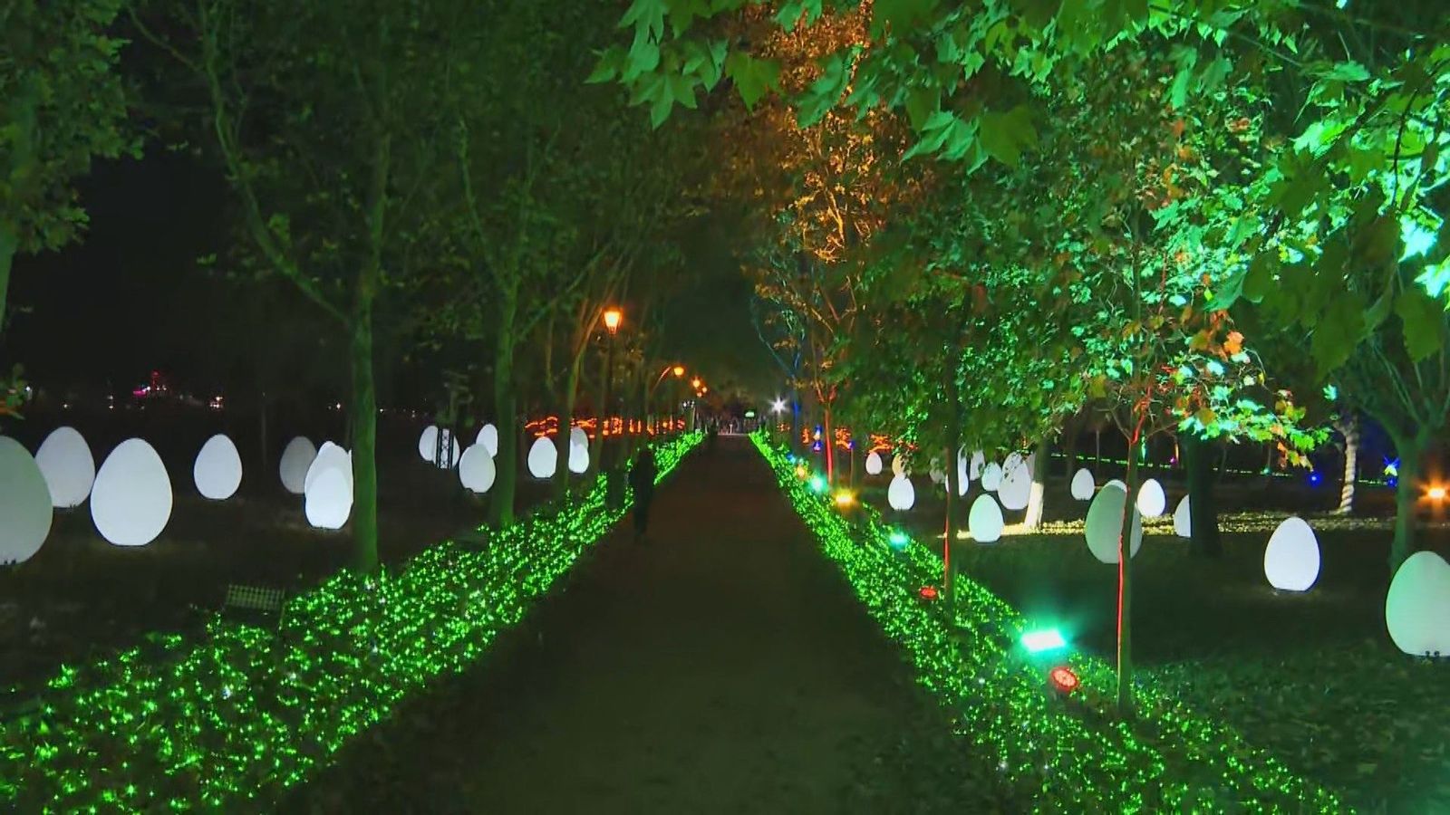 Vuelve a Madrid uno de los eventos más esperados de la Navidad, 'Naturaleza encendida'