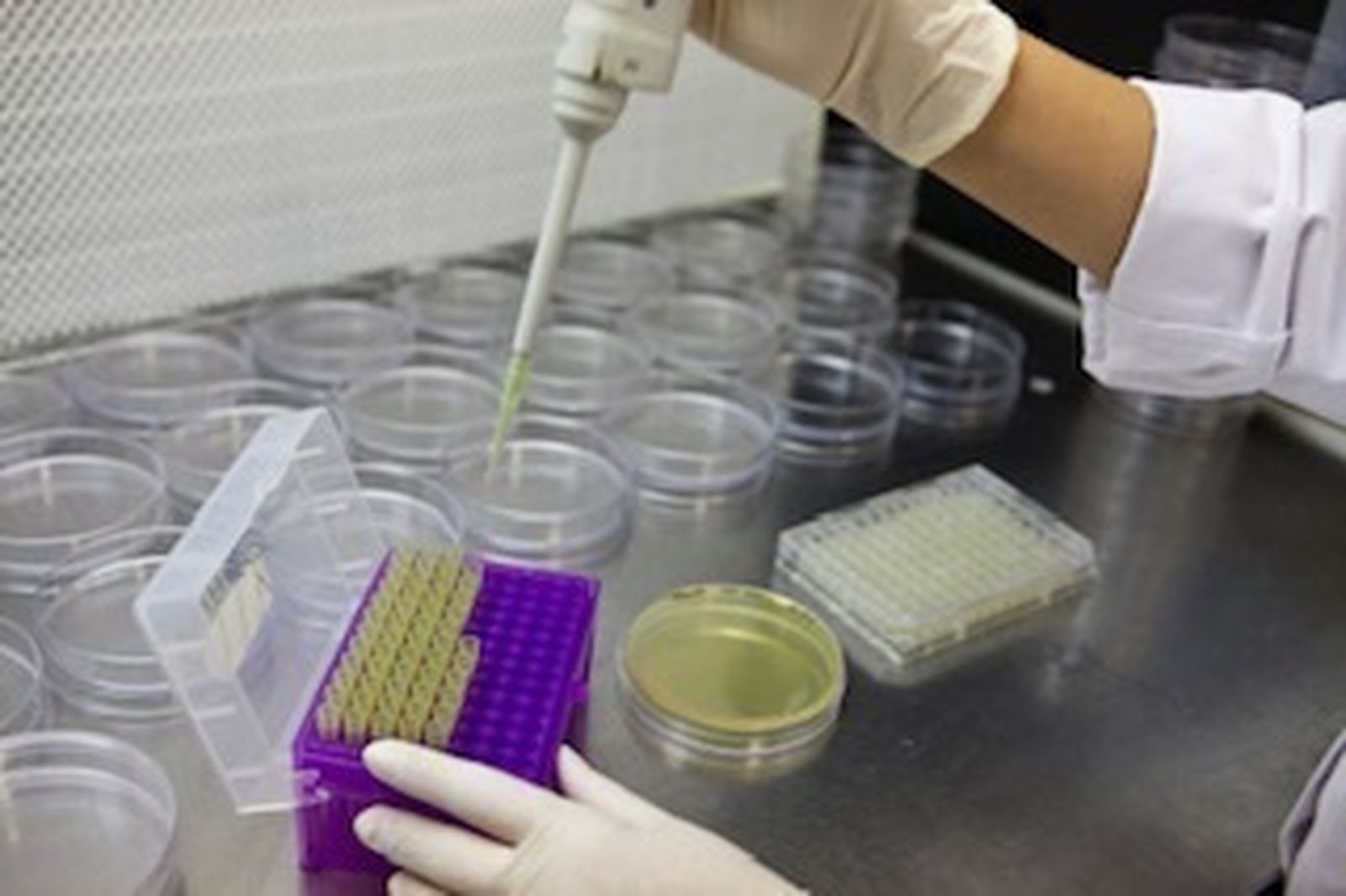 Investigación en un laboratorio