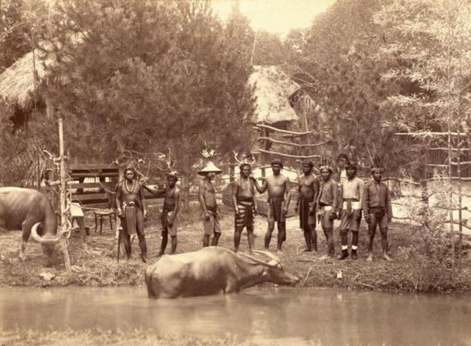 El Retiro convertido en selva filipina en 1888