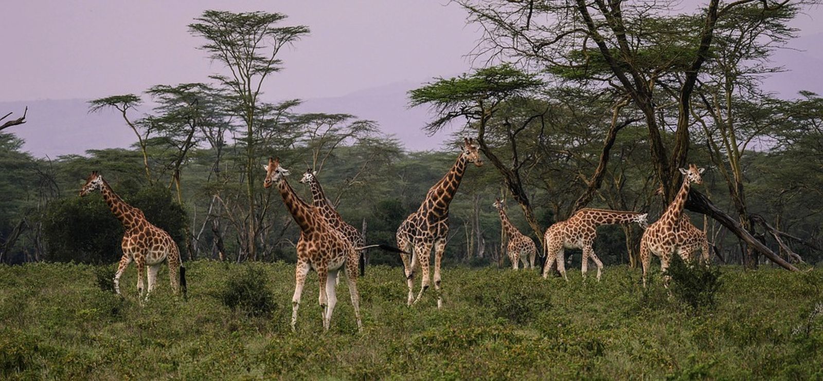 ¿Cómo trabaja un madrileño en Kenia?