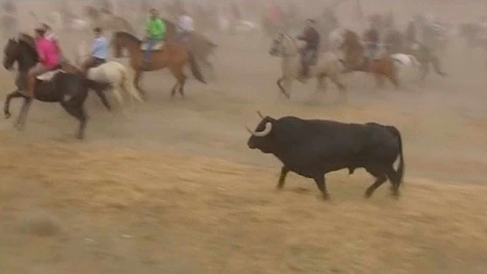 Primer "Toro de la Peña" en Tordesillas sin sacrificio del animal