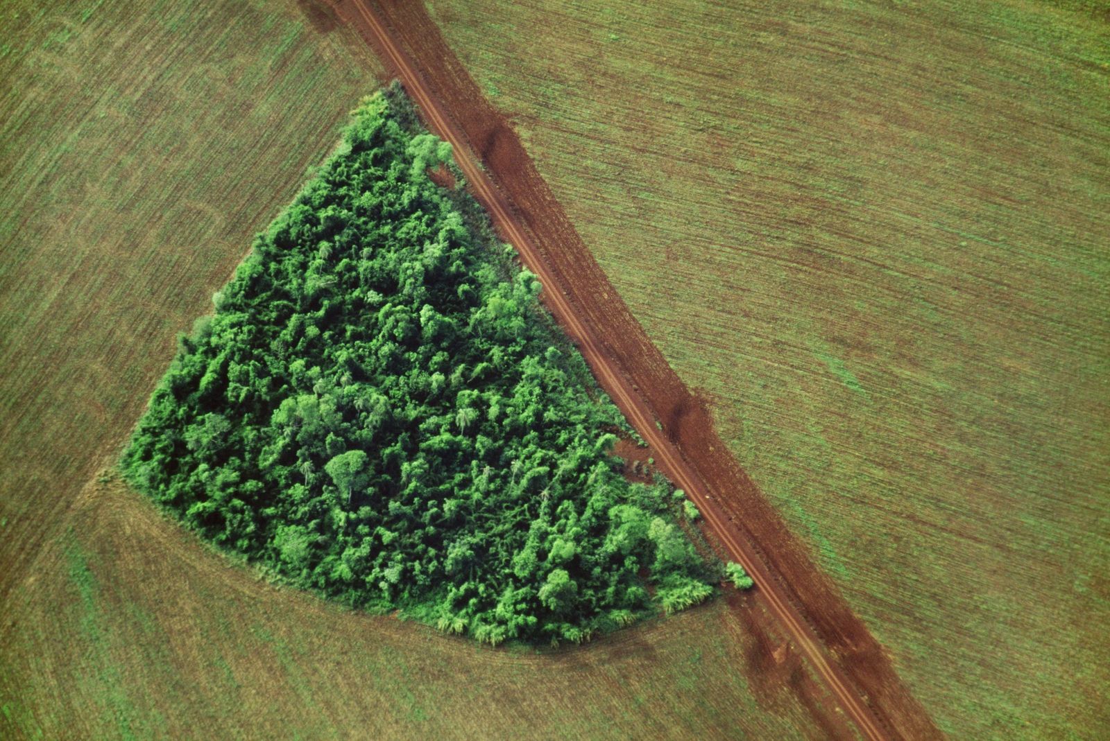 Deforestación en Brasil