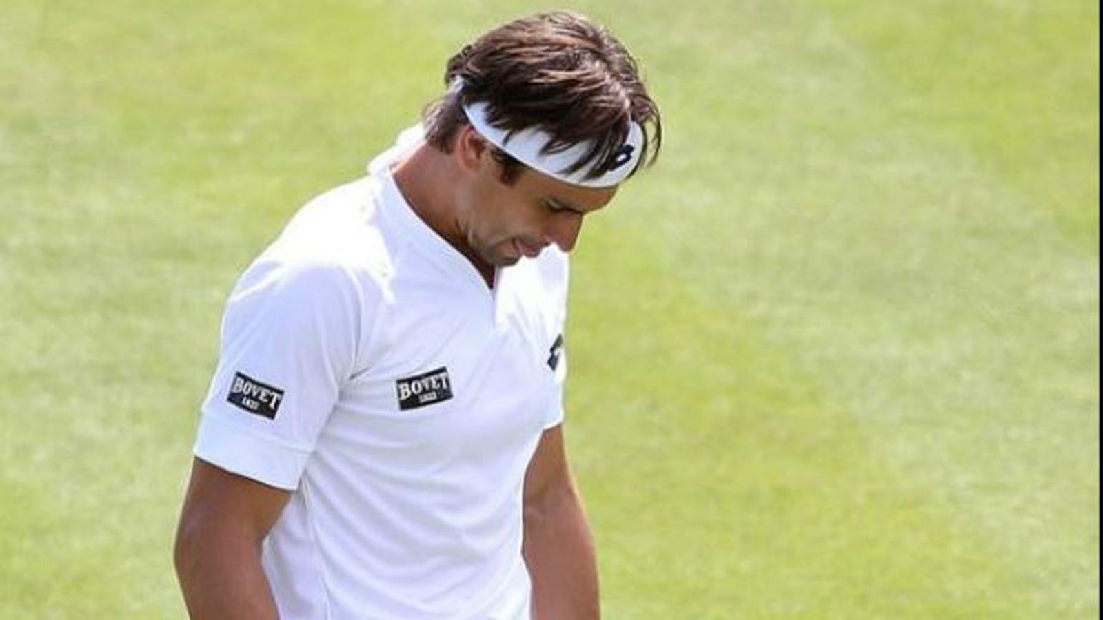 David Ferrer