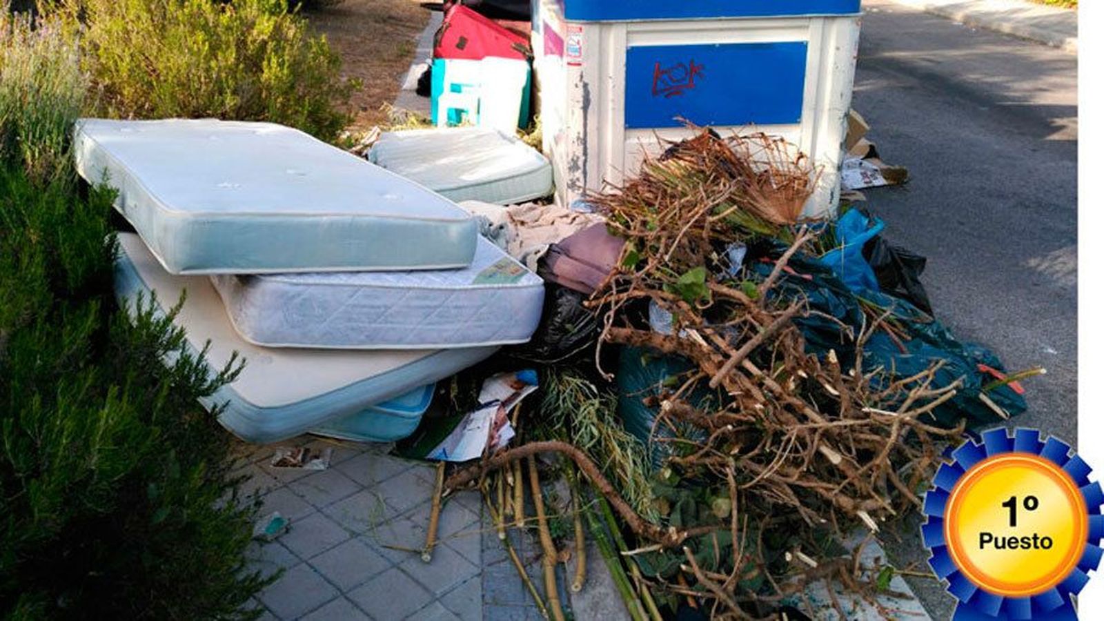 Torrelodones crea el premio "El Guarro del Barrio" para comportamientos incívicos