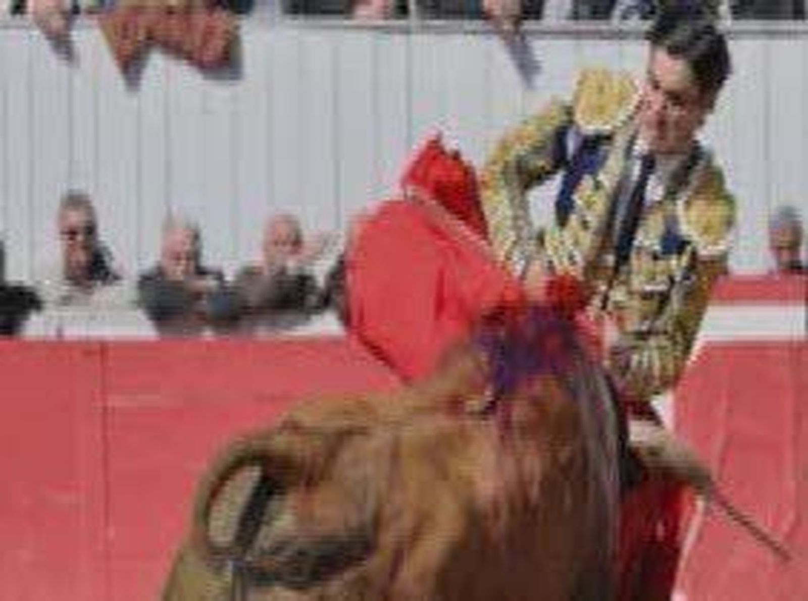 Ángel Teruel sufre una espectacular cornada en Arles que le raja la cara