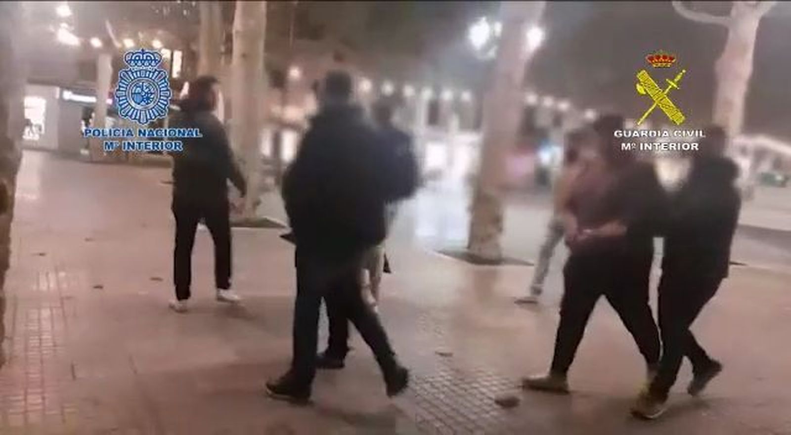 Detenidos cuatro marroquíes buscados por el incidente del avión en el aeropuerto de Palma