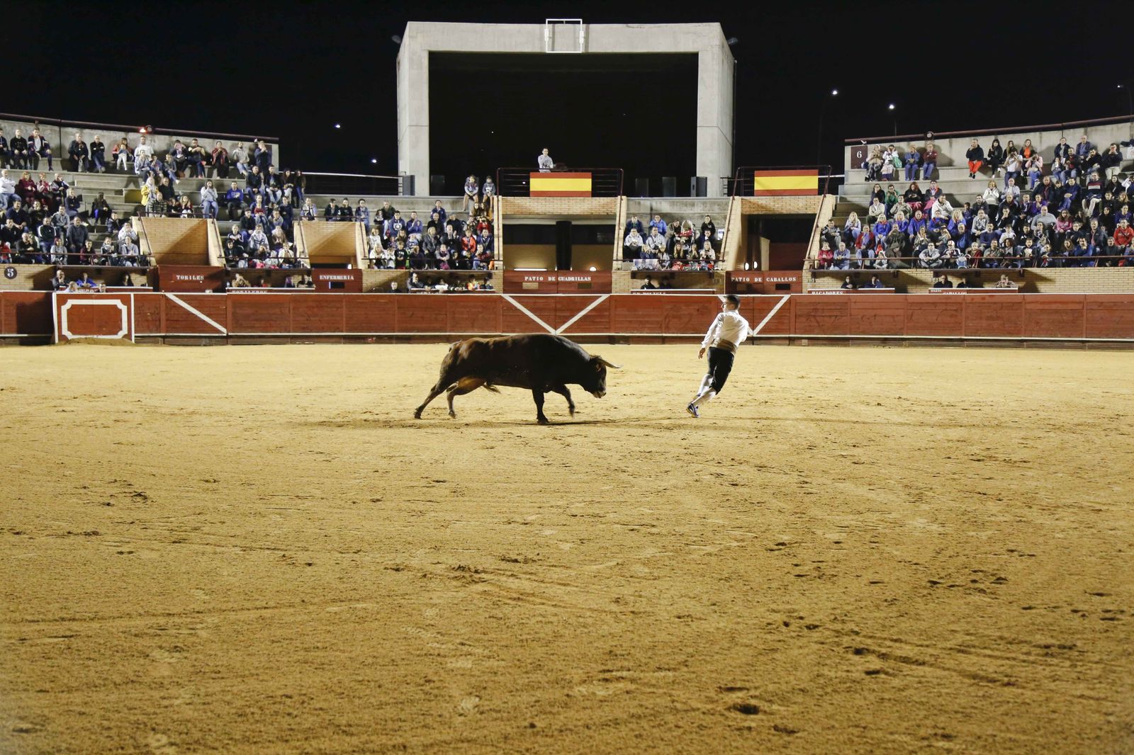 Concurso de recortes en la plaza de toros de Móstoles