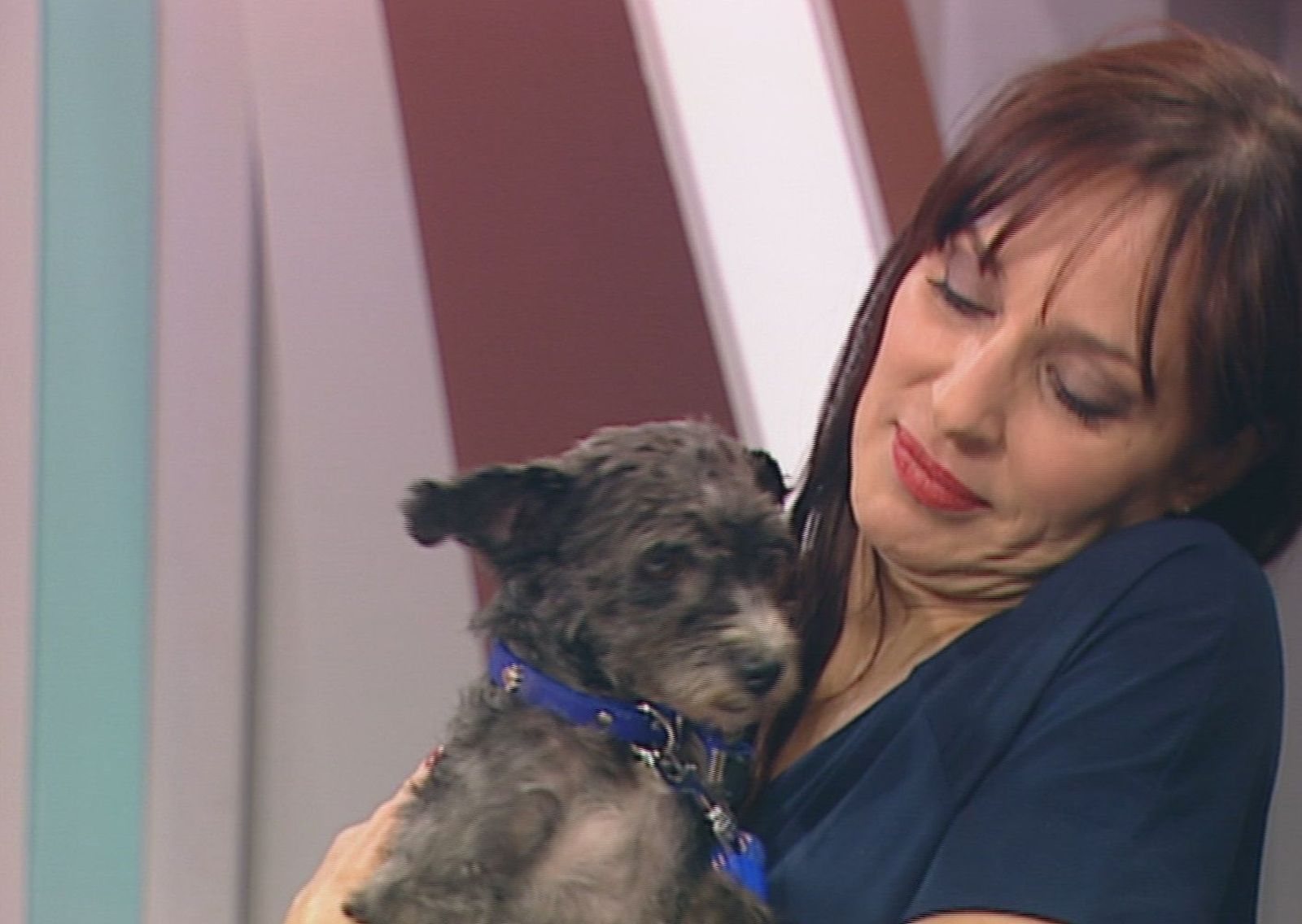 Un hogar para Pluto y Moni