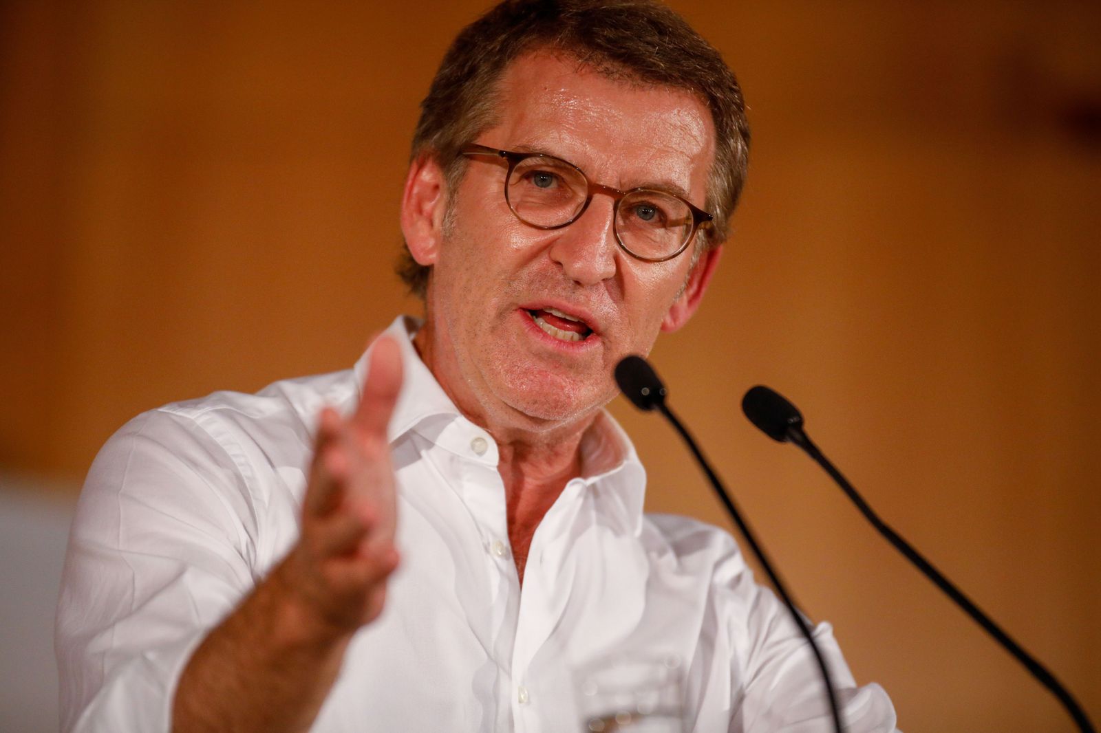 El presidente del Partido Popular (PP), Alberto Núñez Feijóo