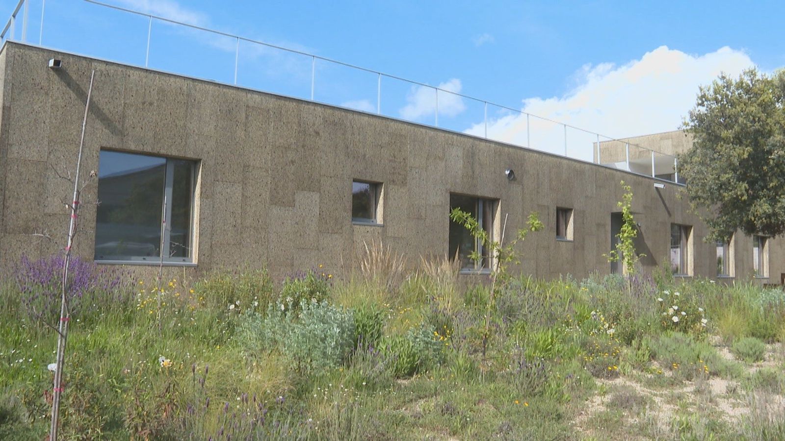 Construir viviendas con el objetivo de 'consumo energético cero'