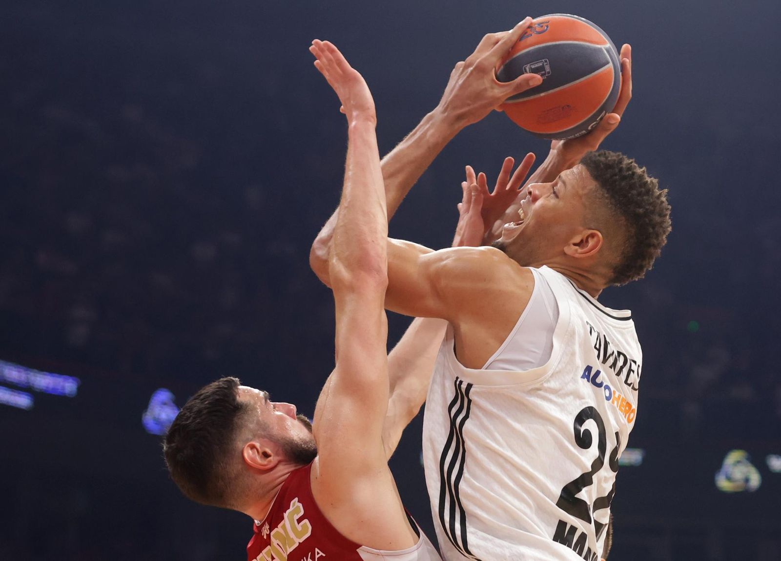 Tavares ante Estrella Roja