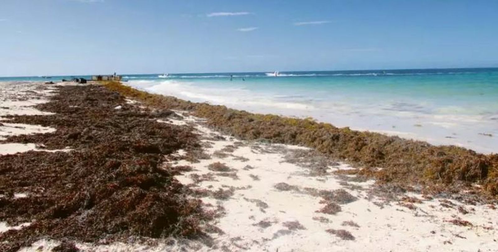 Playa de Florida