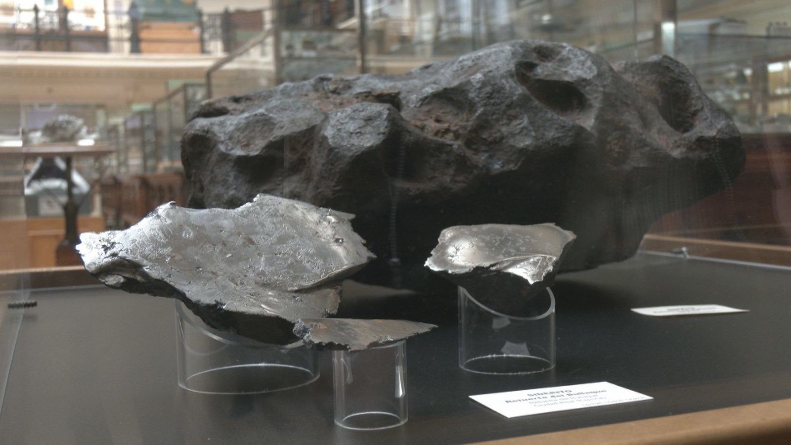 El Museo Geominero celebra su centenario entre meteoritos, mastodontes y el 'oro de los locos'