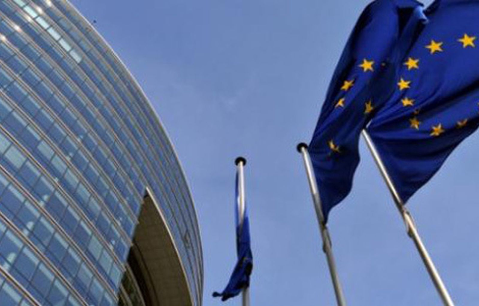 bruselasdehoy470