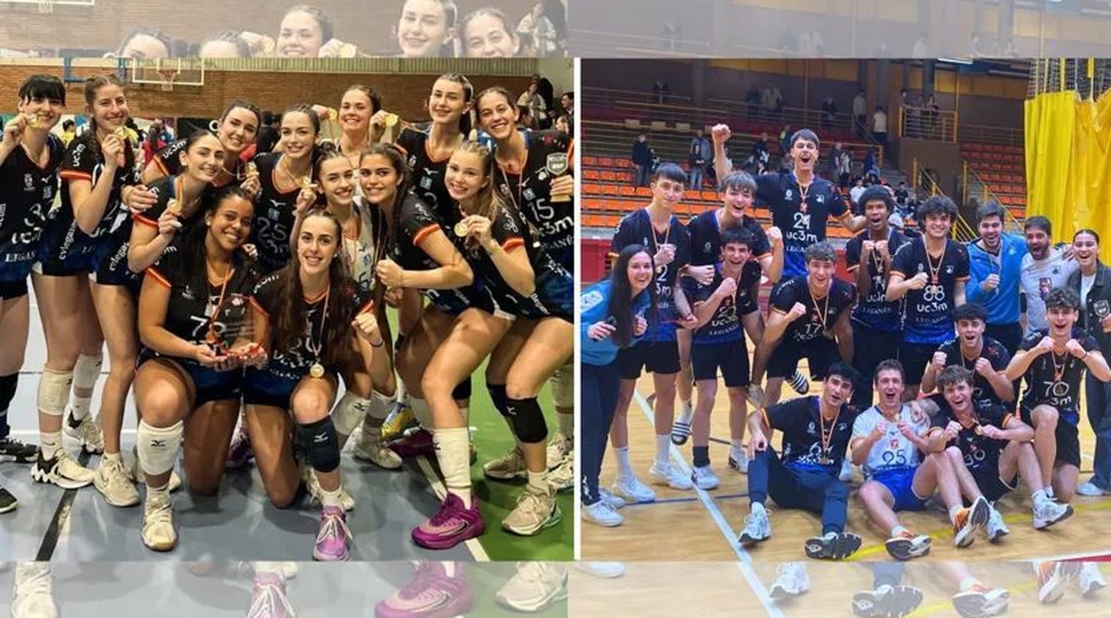 Ligas autonómicas de voleibol