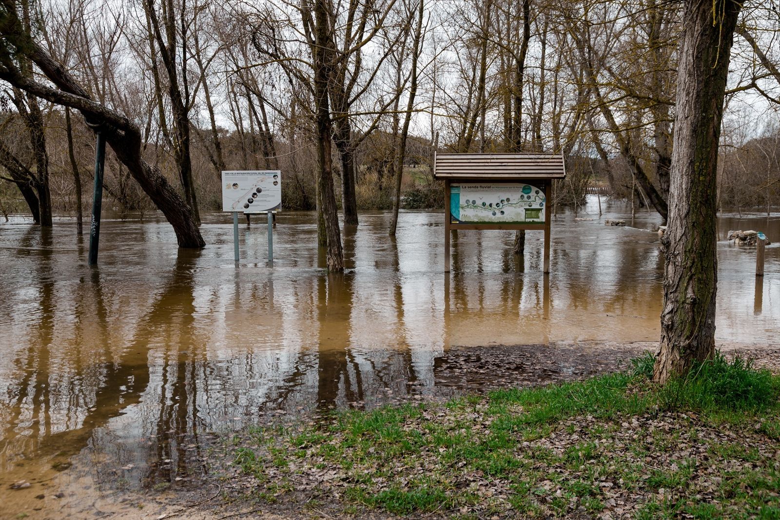 Crecida del río Manzanares en el entorno de El Pardo