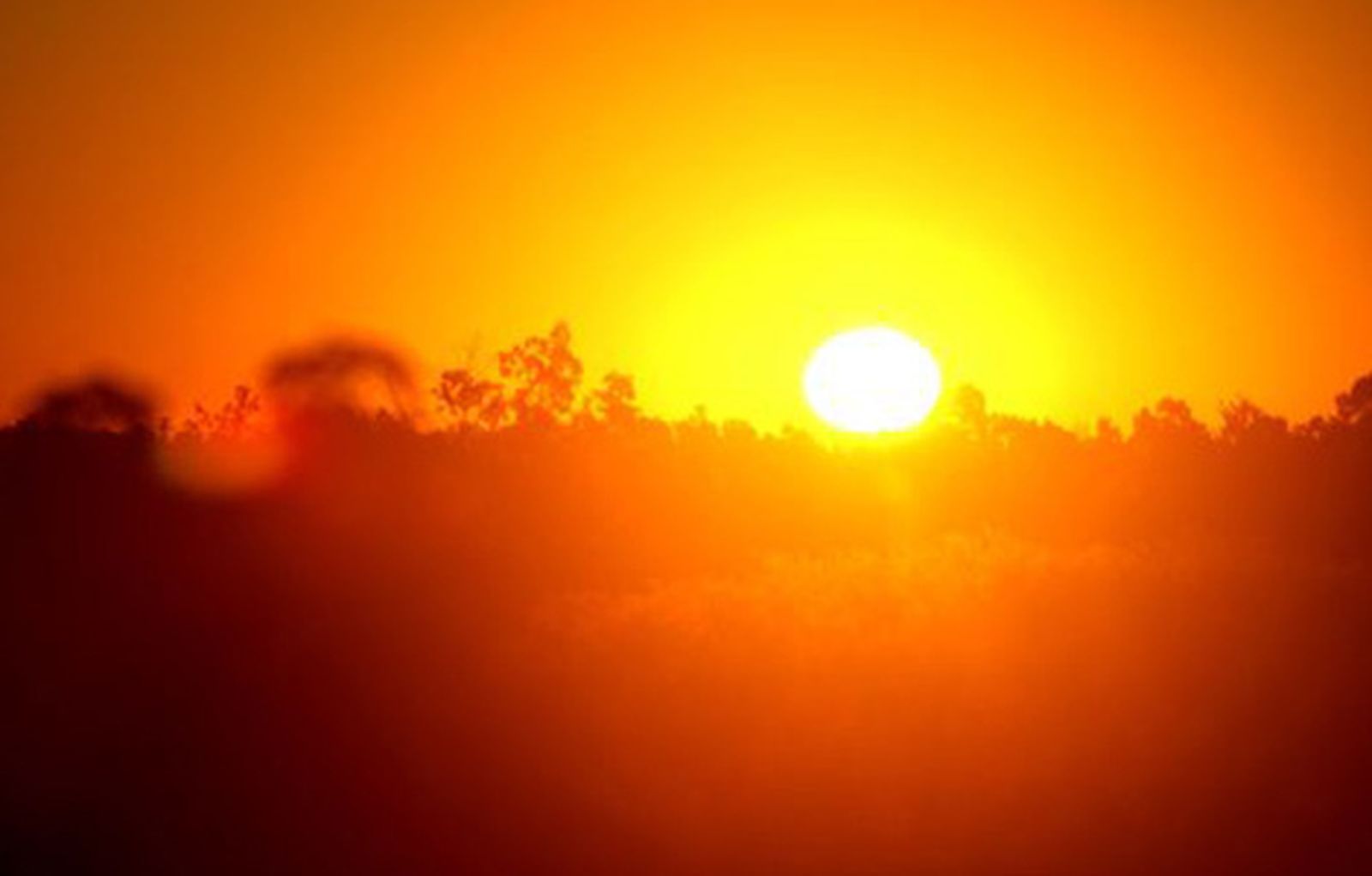 sol_temperaturas470