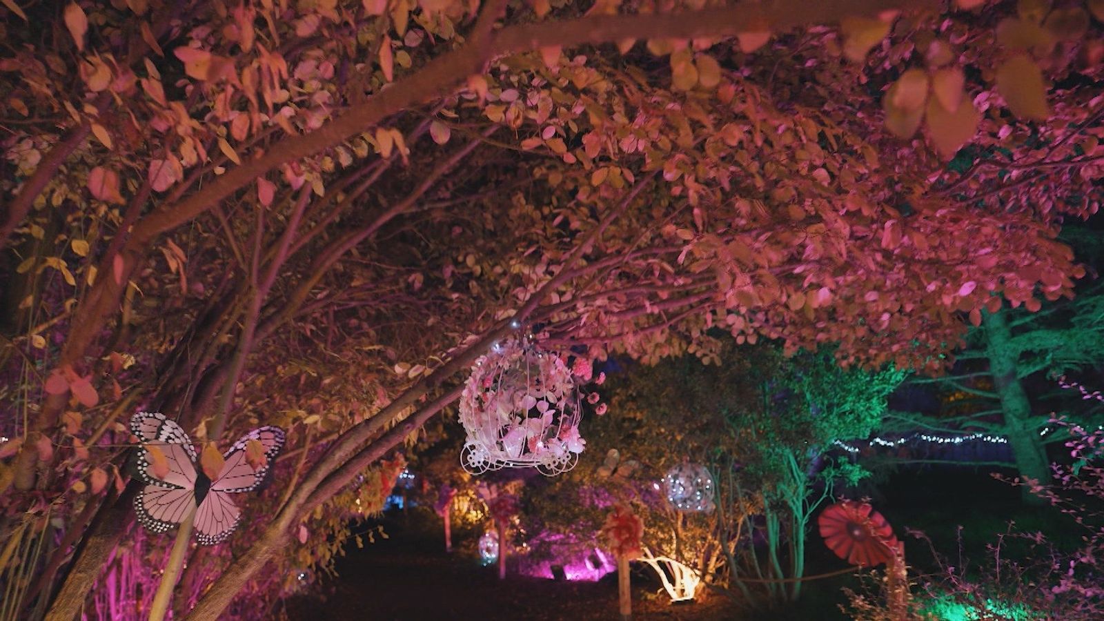 Los embajadores de la Navidad llegan al Real Jardín Botánico Alfonso XIII