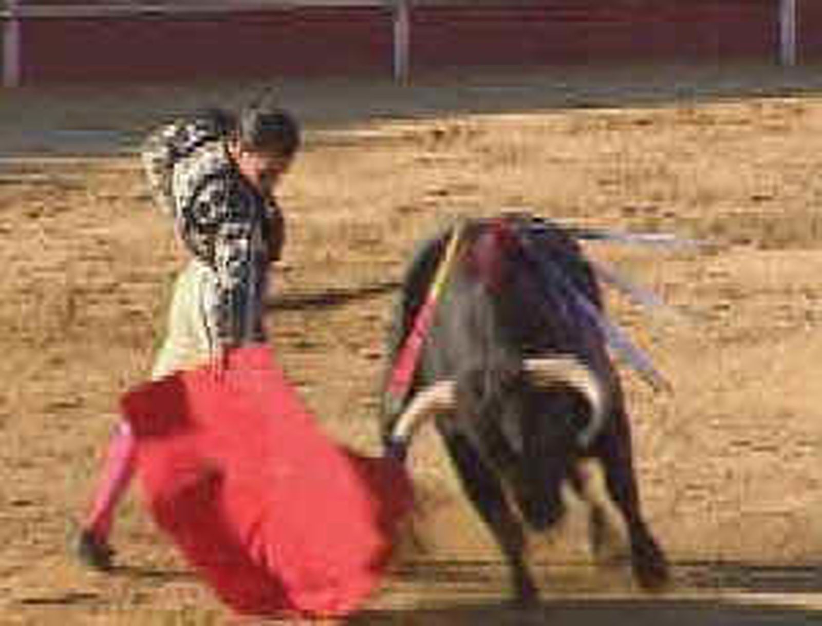 toro25