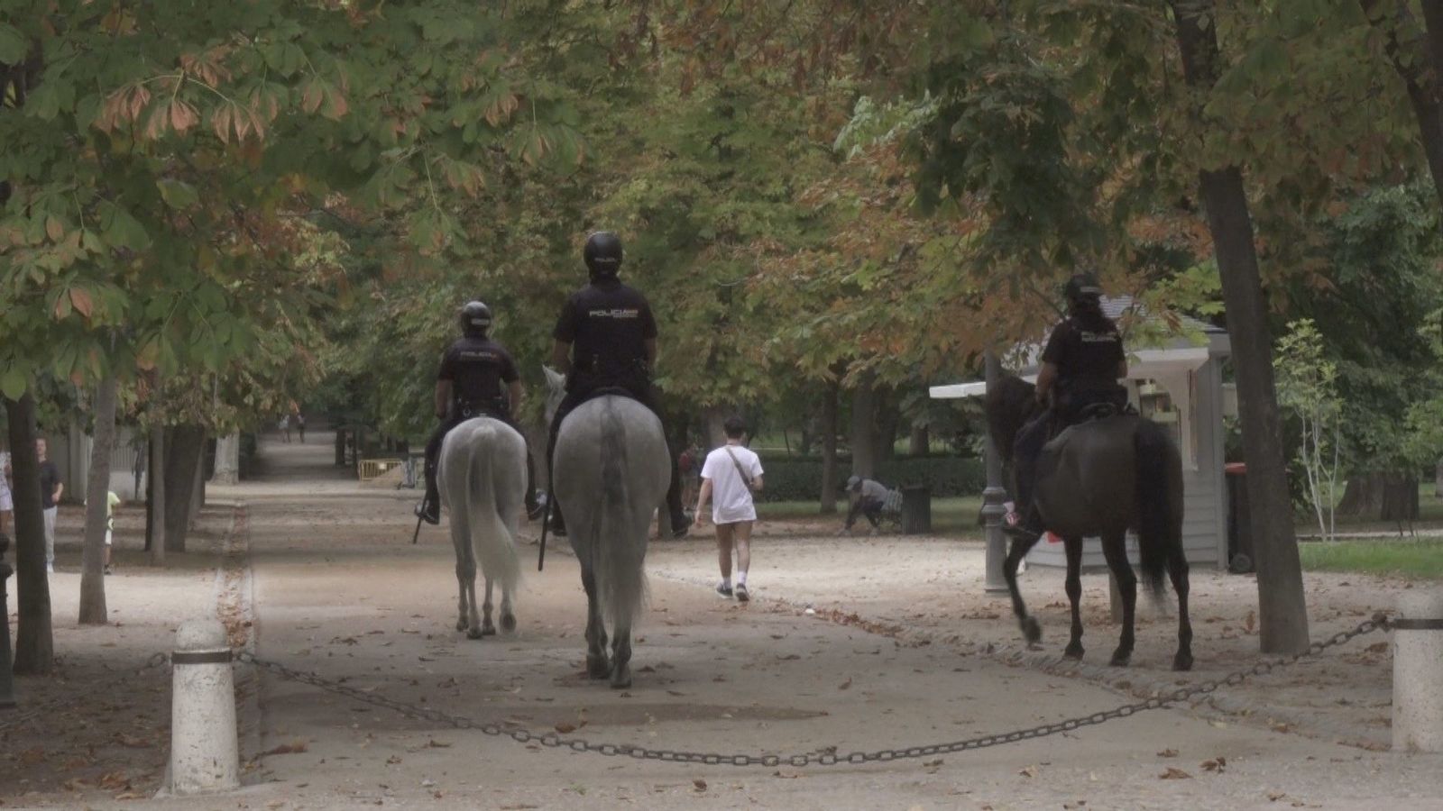 Carabante ironiza con la propuesta del PSOE de "que los caballos lleven pañales" y dice que lo estudiarán